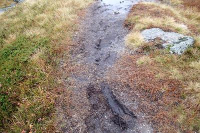 post-1073-0-54084100-1413961328_thumb.jp