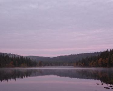 post-12803-0-69673500-1413122820_thumb.j