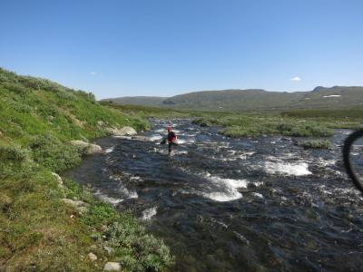 post-13206-0-30882100-1412243504_thumb.j