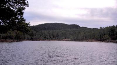 post-13572-0-13126100-1414268566_thumb.j