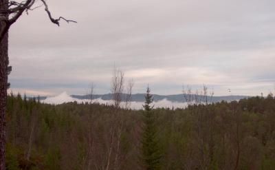 post-13572-0-31177900-1414268564_thumb.j