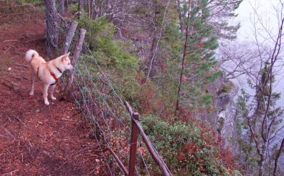 post-13572-0-69470400-1414268575_thumb.j