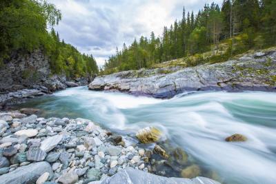 post-14443-0-23492500-1412191433_thumb.j