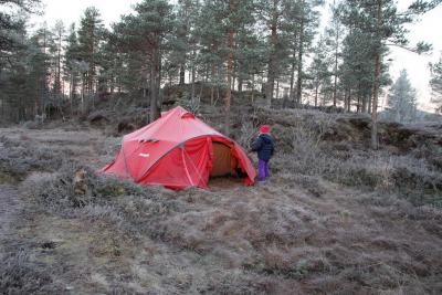 post-3318-0-16705700-1413755947_thumb.jp