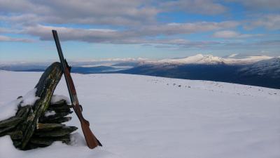 post-4117-0-97665600-1413185950_thumb.jp