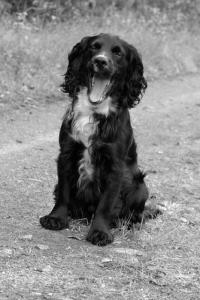 post-6117-0-46485800-1413557877_thumb.jp