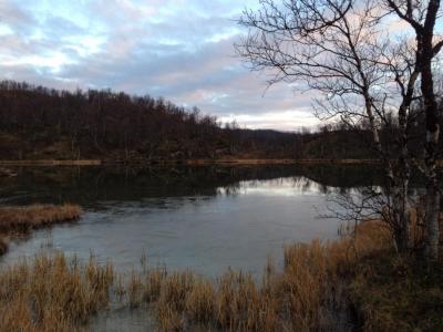 post-7687-0-42616900-1413053323_thumb.jp