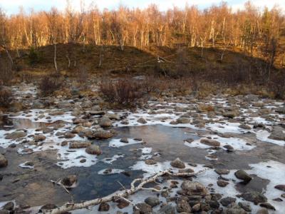 post-7687-0-54350500-1413053378_thumb.jp