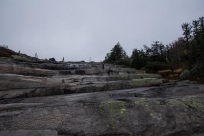 post-7957-0-10265300-1412448336_thumb.jp