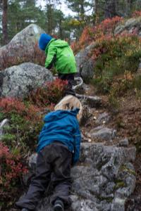 post-7957-0-31297800-1412448031_thumb.jp