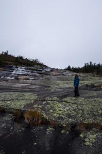 post-7957-0-31440800-1412448307_thumb.jp