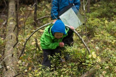 post-7957-0-53557800-1412448015_thumb.jp