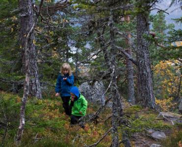 post-7957-0-76902800-1412448058_thumb.jp