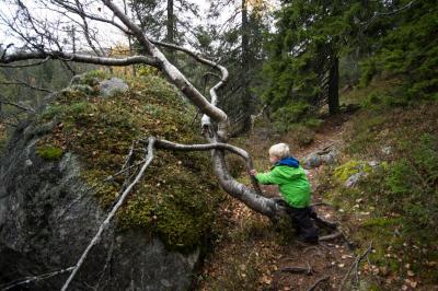 post-7957-0-79405300-1412448291_thumb.jp