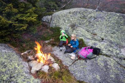 post-7957-0-80981300-1412448375_thumb.jp