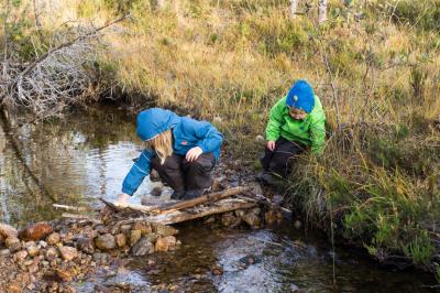 post-7957-0-89297300-1412447915_thumb.jp