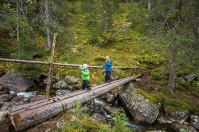 post-7957-0-89879300-1412448265_thumb.jp