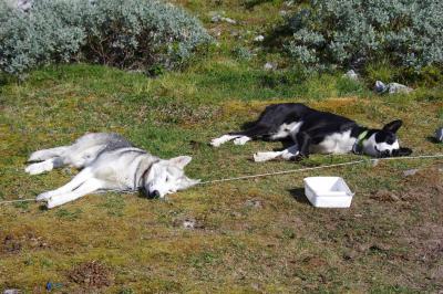 post-8614-0-85662600-1413025073_thumb.jp