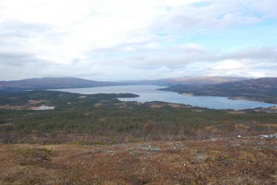 post-9845-0-53698700-1413050502_thumb.jp