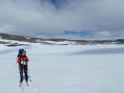 post-10858-0-58066600-1443992314_thumb.j