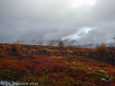 post-4444-0-00777100-1443980592_thumb.jp