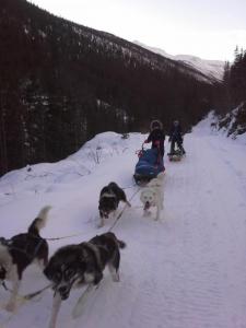 post-6663-0-21273900-1444188881_thumb.jp