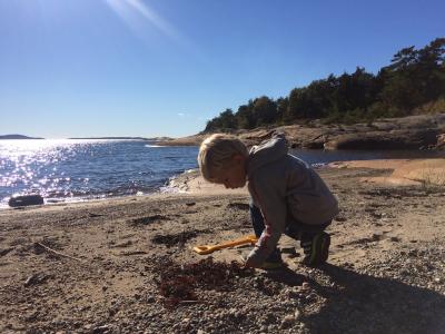 post-7901-0-46148400-1443904877_thumb.jp