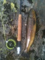 post-1044-0-27237200-1352751044_thumb.jp