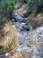 post-1073-0-04416300-1352714832_thumb.jp