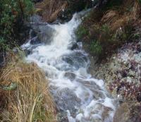 post-1073-0-64452400-1352714809_thumb.jp