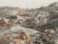 post-1073-0-70453500-1353275941_thumb.jp