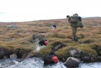 post-11179-0-41824100-1352038255_thumb.j