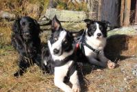 post-11179-0-49031800-1352037996_thumb.j