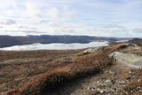 post-11179-0-53058600-1352038761_thumb.j