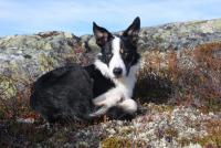 post-11179-0-95060000-1352038810_thumb.j