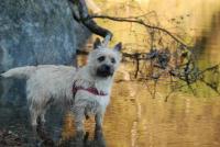 post-11749-0-83159400-1352993547_thumb.j