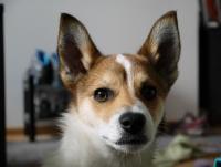 post-7709-0-42648400-1351880531_thumb.jp