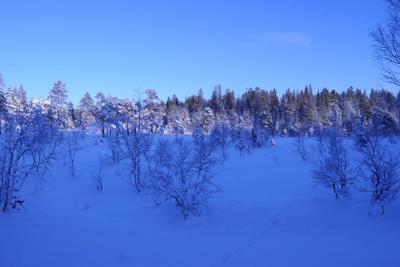 post-10393-0-02290700-1383609026_thumb.j