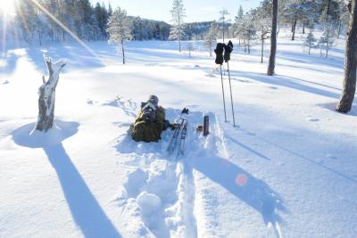 post-10393-0-47676500-1383609060_thumb.j