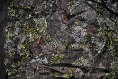 post-10393-0-49125800-1384045335_thumb.j