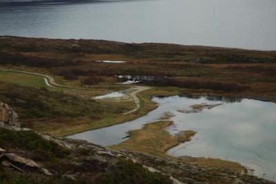 post-10401-0-12758200-1383722847_thumb.j