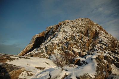 post-10401-0-15355800-1385039052_thumb.j