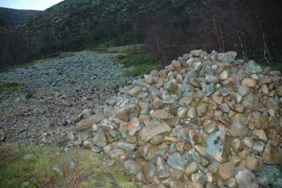 post-10401-0-47964600-1385572658_thumb.j