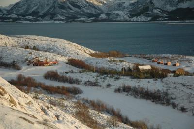 post-10401-0-49124100-1385038761_thumb.j