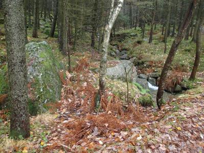 post-1073-0-07476300-1384678998_thumb.jp