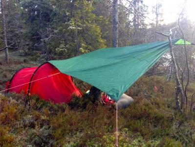 post-11521-0-63761900-1384862729_thumb.j