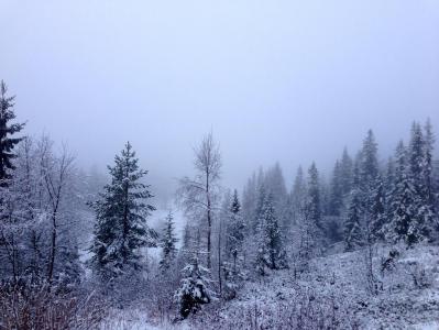 post-11521-0-81183900-1384862803_thumb.j