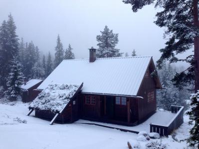 post-11521-0-88388300-1384863018_thumb.j