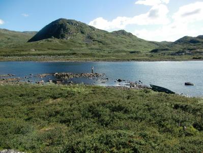 post-12001-0-11550000-1385642793_thumb.j