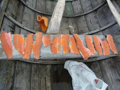 post-12001-0-41329600-1385638996_thumb.j